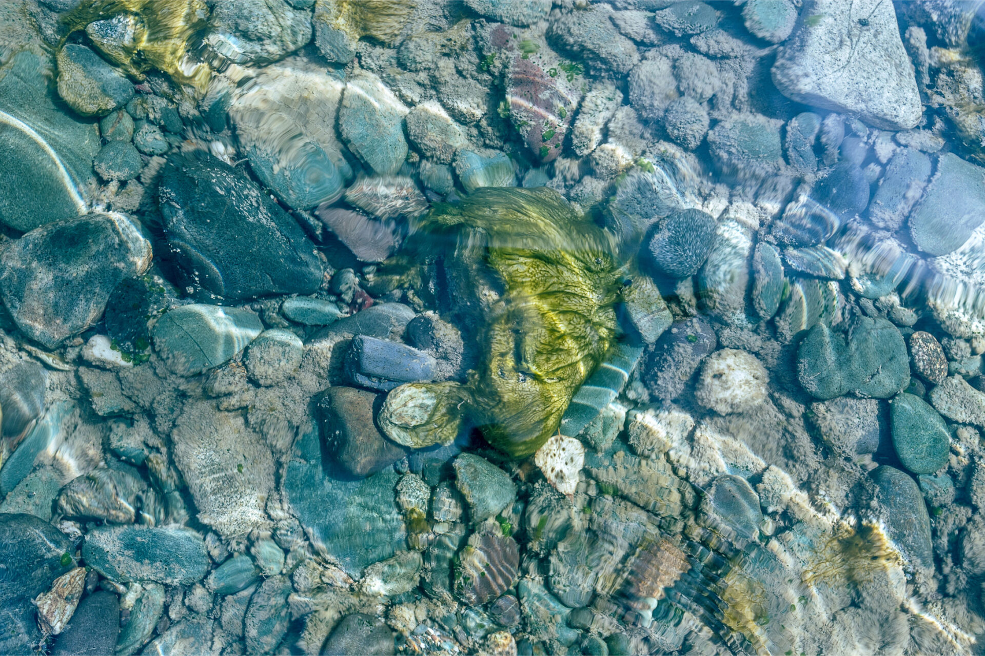 Moosbewachsener Stein in klarem Wasser