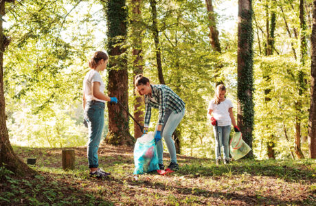 Junge Menschen sammeln Abfall im Wald